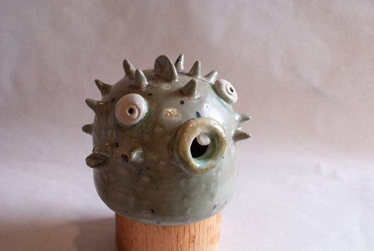 Speckled Puffer fish