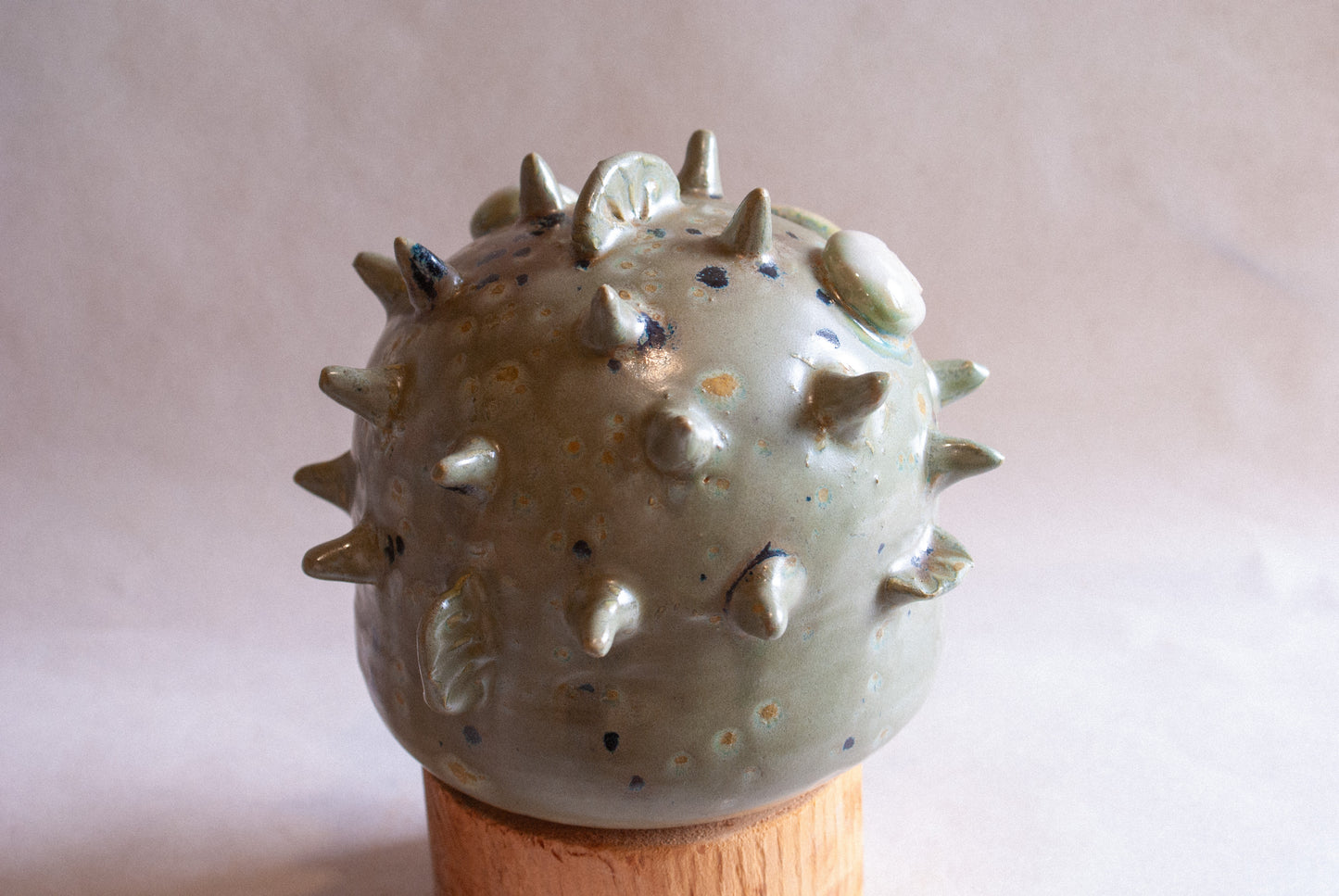 Speckled Puffer fish